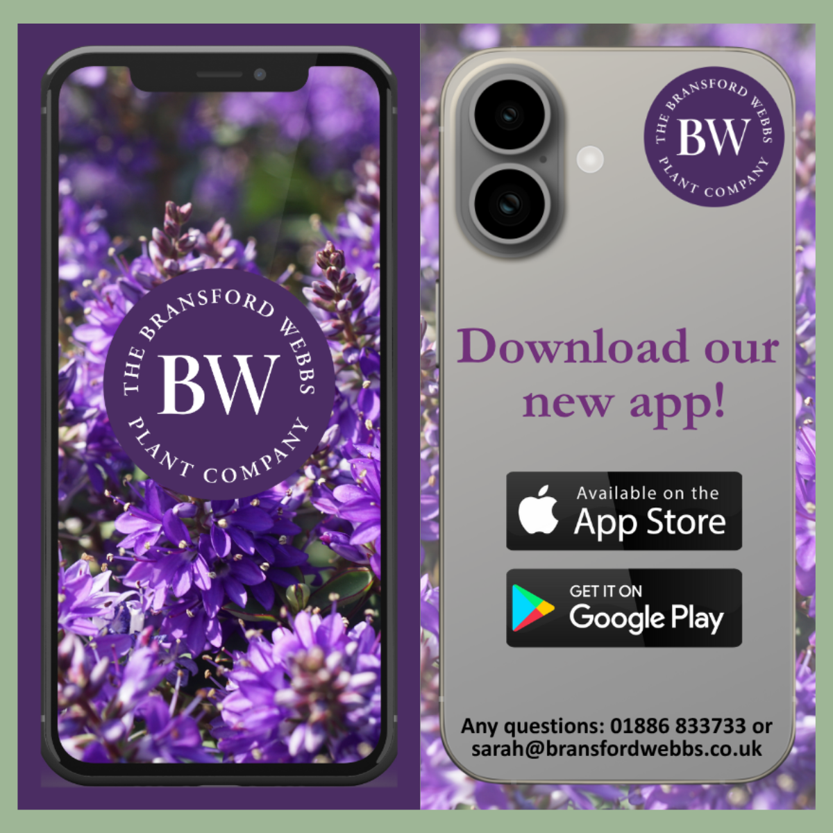 Welcome to the Bransford Webbs Plant Company